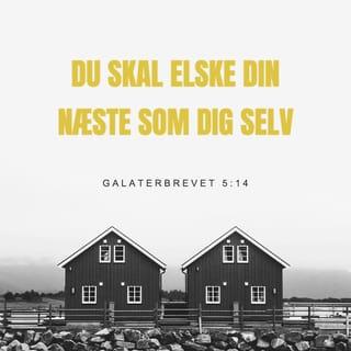 Galaterbrevet 5:14 BPH