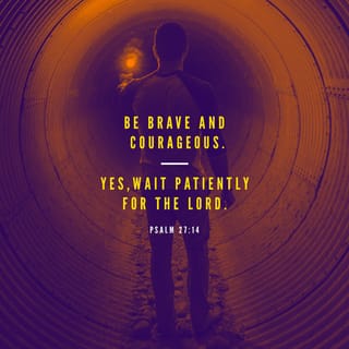 Psalms 27:14 - Wait for Jehovah:
Be strong, and let thy heart take courage;
Yea, wait thou for Jehovah.