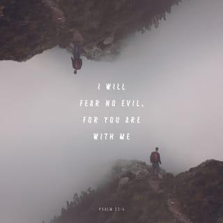 Psalms 23:4-5 - Even though I walk
through the darkest valley,
I will fear no evil,
for you are with me;
your rod and your staff,
they comfort me.

You prepare a table before me
in the presence of my enemies.
You anoint my head with oil;
my cup overflows.