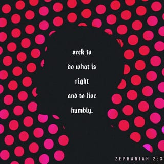 Zephaniah 2:3 - Turn to the LORD, all you humble people of the land, who obey his commands. Do what is right, and humble yourselves before the LORD. Perhaps you will escape punishment on the day when the LORD shows his anger.