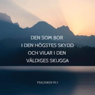 Psaltaren 91:1 - Den som bor i den Högstes skydd
och vilar i den Väldiges skugga