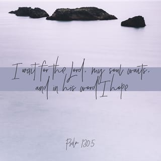 Psalms 130:5 - I wait for the LORD, my soul does wait,
And in His word do I hope.