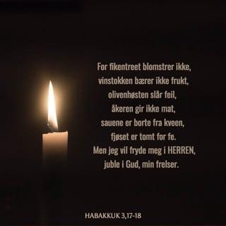 Habakkuk 3:17-18 NB