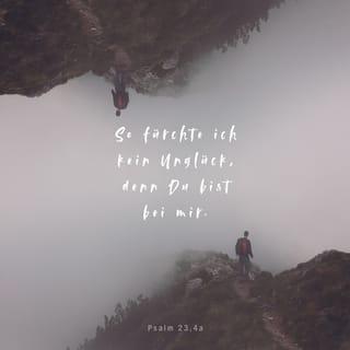 Psalmen 23:4 - Und ob ich schon wanderte im finstern Todestal, fürchte ich kein Unglück; denn du bist bei mir, dein Stecken und dein Stab, die trösten mich!