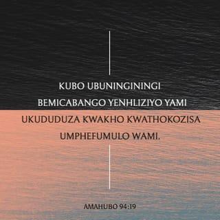 AmaHubo 94:19 - Kubo ubuninginingi bemicabango yenhliziyo yami
ukududuza kwakho kwathokozisa umphefumulo wami.
