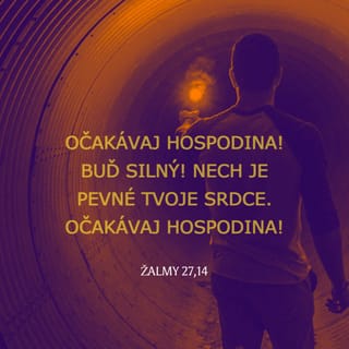 Žalmy 27:14 SEBDT