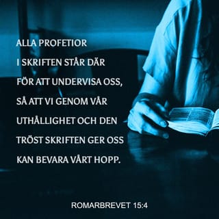 Romarbrevet 15:4 - Alla profetior i skriften står där för att undervisa oss, så att vi genom vår uthållighet och den tröst skriften ger oss kan bevara vårt hopp.