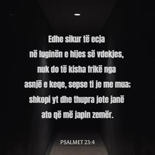 Psalmet 23:4 ALBB