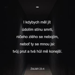 Žalmy 23:4 - I kdybych měl jít údolím stínu smrti,
ničeho zlého se nebojím,
neboť ty se mnou jsi:
tvůj prut a tvá hůl mě konejší.