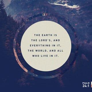 Psalms 24:1 - The earth and everything on it,
including its people,
belong to the LORD.
The world and its people
belong to him.