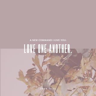 John 13:34-35 - And now I give you a new commandment: love one another. As I have loved you, so you must love one another. If you have love for one another, then everyone will know that you are my disciples.”
