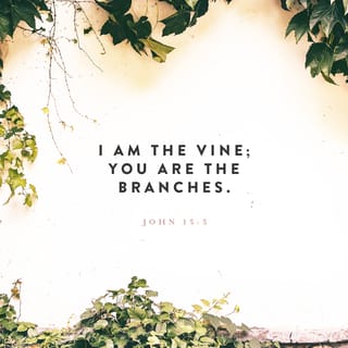 John 15:5 - “I am the vine, and you are the branches. Those who remain in me, and I in them, will bear much fruit; for you can do nothing without me.