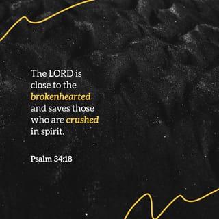 Psalms 34:18 - The LORD is near to the heartbroken
And He saves those who are crushed in spirit (contrite in heart, truly sorry for their sin).