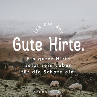 Johannes 10:11 - Ich bin der gute Hirte. Ein guter Hirte setzt sein Leben für die Schafe ein.