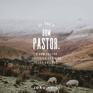 João 10:11 - Eu sou o bom Pastor; o bom Pastor dá a sua vida pelas ovelhas.