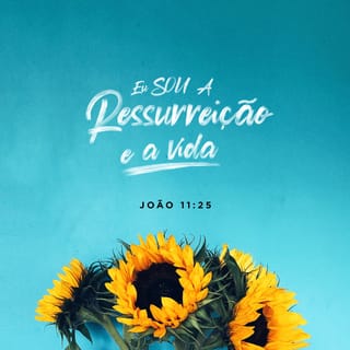 João 11:25 - Disse-lhe Jesus: Eu sou a ressurreição e a vida; quem crê em mim, ainda que esteja morto, viverá