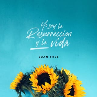 S. Juan 11:25-26 - Le dijo Jesús: Yo soy la resurrección y la vida; el que cree en mí, aunque esté muerto, vivirá. Y todo aquel que vive y cree en mí, no morirá eternamente. ¿Crees esto?