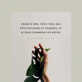 Matthieu 11:28 - Venez à moi, vous tous qui êtes accablés sous le poids d’un lourd fardeau, et je vous donnerai du repos.