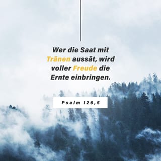 Psalm 126:5 HFA