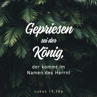 Lukas 19:38 HFA