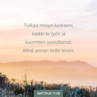 Evankeliumi Matteuksen mukaan 11:28-30 FB92