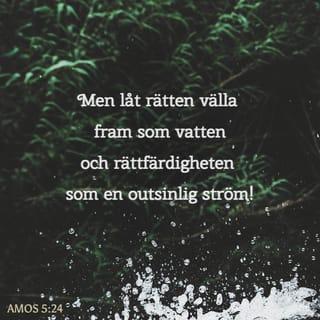 Amos 5:24 B2000