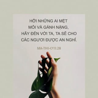 Ma-thi-ơ 11:28 VIE1925