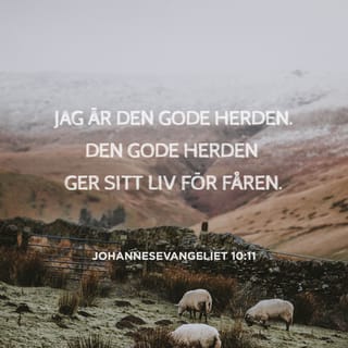 Johannes 10:11 - Jag är den gode herden. Den gode herden ger sitt liv för fåren.
