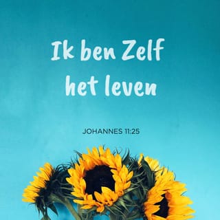 Johannes 11:25 HTB