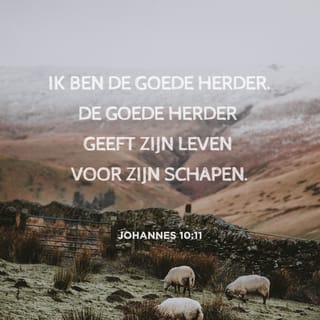 Johannes 10:11 - Ik ben de goede herder. De goede herder geeft zijn leven voor zijn schapen.