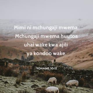 Yn 10:11 - Mimi ndimi mchungaji mwema. Mchungaji mwema huutoa uhai wake kwa ajili ya kondoo.