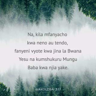 Kol 3:17 - Na kila mfanyalo, kwa neno au kwa tendo, fanyeni yote katika jina la Bwana Yesu, mkimshukuru Mungu Baba kwa yeye.