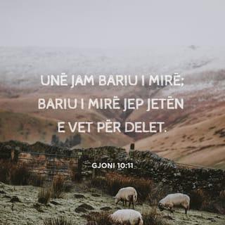 Gjoni 10:11 - Unë jam bariu i mirë; bariu i mirë jep jetën e vet për delet.