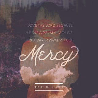 Psalms 116:1 - I love the LORD, because he listens to my voice,
and my cries for mercy.