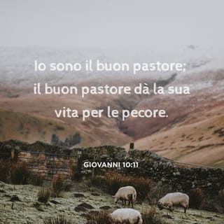 Giovanni 10:11 - «Io sono il buon pastore. Il buon pastore è pronto a dare la vita per le sue pecore.