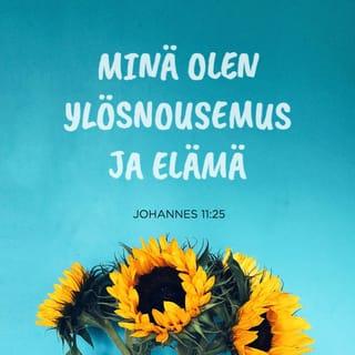 Evankeliumi Johanneksen mukaan 11:25-26 - Jeesus sanoi: »Minä olen ylösnousemus ja elämä. Joka uskoo minuun, saa elää, vaikka kuoleekin, eikä yksikään, joka elää ja uskoo minuun, ikinä kuole. Uskotko tämän?»
