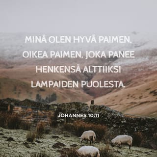 Johannes 10:11 - Minä olen se hyvä paimen. Hyvä paimen antaa henkensä lammasten edestä.