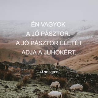 János 10:10-11 - A tolvaj csak azért jön, hogy lopjon, öljön és pusztítson; én azért jöttem, hogy életük legyen, sőt bőségben éljenek.
Én vagyok a jó pásztor. A jó pásztor életét adja a juhokért.