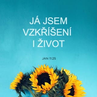 Jan 11:25-26 B21