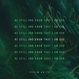 Psalms 46:10 - “Be still, and know that I am God.
I am exalted among the nations,
I am exalted in the earth!”