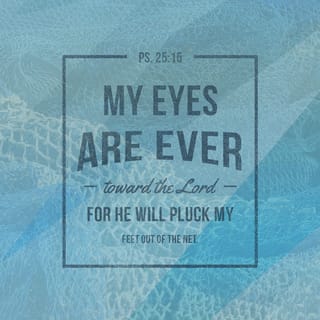 Psalms 25:15-22 - My eyes are ever on the LORD,
for only he will release my feet from the snare.

Turn to me and be gracious to me,
for I am lonely and afflicted.
Relieve the troubles of my heart
and free me from my anguish.
Look on my affliction and my distress
and take away all my sins.
See how numerous are my enemies
and how fiercely they hate me!

Guard my life and rescue me;
do not let me be put to shame,
for I take refuge in you.
May integrity and uprightness protect me,
because my hope, LORD, is in you.

Deliver Israel, O God,
from all their troubles!