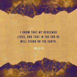 Job 19:25 - For I know that my Redeemer and Vindicator lives, and at last He [the Last One] will stand upon the earth. [Isa. 44:6; 48:12.]