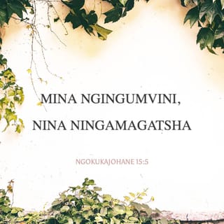 NgokukaJohane 15:5 - “Mina ngingumvini, nina ningamagatsha; ohlala kimi, nami kuye, lowo uthela izithelo eziningi; ngokuba ngaphandle kwami ningenze lutho.