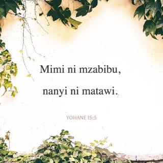 Yn 15:5 - Mimi ni mzabibu; ninyi ni matawi, akaaye ndani yangu nami ndani yake, huyo huzaa sana; maana pasipo mimi ninyi hamwezi kufanya neno lo lote.