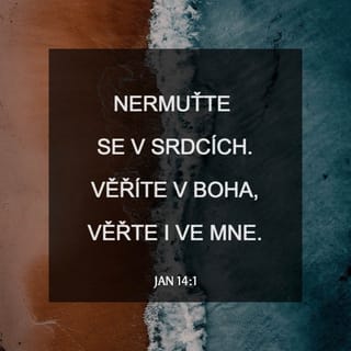 Jan 14:1 B21
