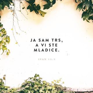 Ivan 15:5 BKJ