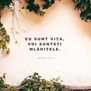 Ioan 15:5 VDC