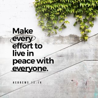 Hebrews 12:14 - Make every effort to live in peace with everyone and to be holy; without holiness no-one will see the Lord.