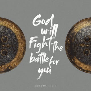 Exodus 14:14-15 - The LORD will fight for you; you need only to be still.”
Then the LORD said to Moses, “Why are you crying out to me? Tell the Israelites to move on.