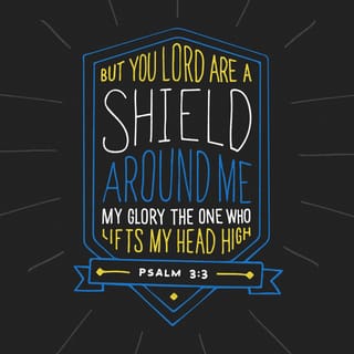 Psalm 3:3 - But you, O LORD, are always my shield from danger;
you give me victory
and restore my courage.